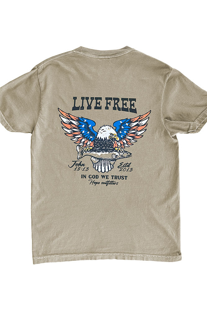 American Flag Eagle Tee